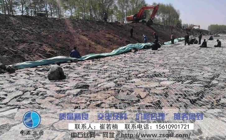 中石生態格網