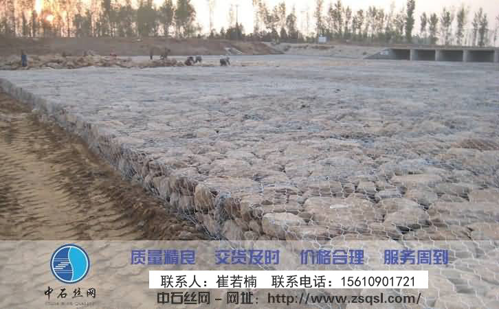 中石雷諾護墊