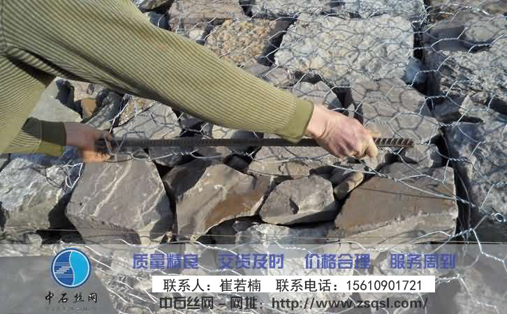 中石雷諾護墊