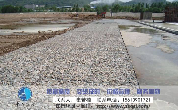 中石雷諾護墊