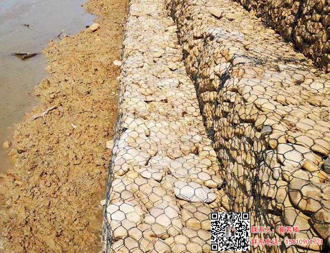 護岸生態格網